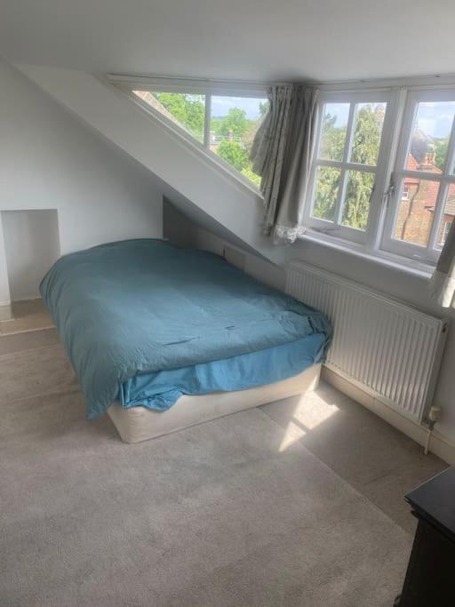 Apartament Cosy Attic Flat With Views Londra